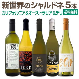 【送料無料】SNSでも話題のニュー・ブランドが初登場!お買い得ワインを集めた新世界のシャルドネづくし5本セット! カリフォルニア&オーストラリア&チリ厳選5本 飲み比べ白ワインセット デイリーワイン 果実味豊か 綺麗な酸 セレクトワイン お買い得セット