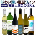 白ワイン 辛口 セット ワインセット 白 ワイン ギフト 箱 京橋ワイン 京橋わいん 特選 6本 お歳暮飲み比べ シャルドネ 金賞 送料無料 【 第225弾 当店厳選 これぞ極旨 辛口白ワイン 】
