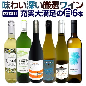 白ワイン 辛口 セット ワインセット 白 ワイン ギフト 箱 京橋ワイン 京橋わいん 特選 6本 お歳暮飲み比べ シャルドネ 金賞 送料無料 【 第225弾 当店厳選 これぞ極旨 辛口白ワイン 】