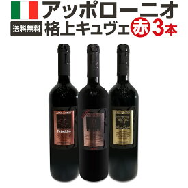 【送料無料】大人気イタリアン アッポローニオ 濃厚極旨格上キュヴェ3本セット 赤ワイン プリミティーヴォ プリミティーヴォ100% ディヴォート リゼルヴァ 熟成 フルボディ プーリア 完熟ジャム 旨味 コク旨 トップキュヴェ ワインセット お買い得