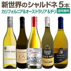 【送料無料】SNSでも話題のニュー・ブランドが初登場！お買い得ワインを集めた新世界のシャルドネづくし5本セット！