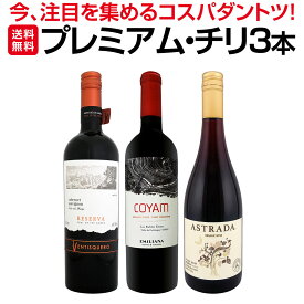 【送料無料】今、注目を集めるプレミアム・チリ3本セットコスパのよさはダントツ ワインセット ミックスワインセット 当店直輸入 オーガニック ピノ・ノワール グラン・レゼルヴァ シャルドネ 濃厚 直輸入ワイン グランレゼルバ ワイン3本セット レゼルヴァ・クラス