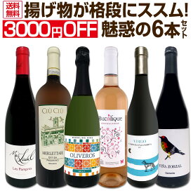 【送料無料!3000円OFF】揚げ物が格段にススム！！魅惑の6本セット