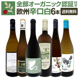 【送料無料】★当店独自輸入★バイヤー厳選★欧州オーガニック白ワイン6本セット! 全て認証付 辛口 白ワイン 詰め合わせ 飲み比べ フランス ロワール イタリア マルケ ドイツ ラインガウ バーデン オーストリア スペイン 日常の食事に合わせやすい ギフト プレゼント