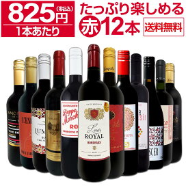 赤ワイン セット ワインセット 赤 ワイン ギフト 箱 京橋ワイン 京橋わいん 12本 750ml 飲み比べ プレゼント 送料無料 【 第86弾 1本あたり825円(税込) 採算度外視の大感謝 厳選赤ワイン12本セット 】