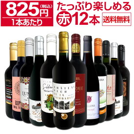 【送料無料】第91弾！1本あたり825円(税込)!!採算度外視の大感謝!厳選赤ワイン12本セット
