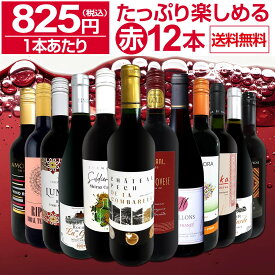 赤ワイン セット ワインセット 赤 ワイン ギフト 箱 京橋ワイン 京橋わいん 12本 750ml 飲み比べ プレゼント 送料無料 第91弾 1本あたり825円(税込) 採算度外視の大感謝 厳選赤ワイン12本セット まさにウルトラバリュー たっぷりワインを楽しめる 大満足 飲み比べセット