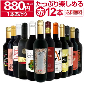 赤ワイン セット ワインセット 赤 ワイン ギフト 箱 京橋ワイン 京橋わいん 12本 750ml 飲み比べ プレゼント 送料無料 第92弾 1本あたり880円(税込) 採算度外視の大感謝 厳選赤ワイン12本セット まさにウルトラバリュー たっぷりワインを楽しめる 大満足 飲み比べセット