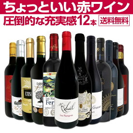 【送料無料】第101弾！当店オススメばかりを厳選したちょっといい赤ワイン12本セット