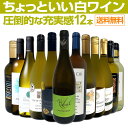 白ワイン セット ワインセット 白 ワイン ギフト 箱 京橋ワイン 京橋わいん 特選 12本 750ml お歳暮 飲み比べ 詰め合わせ プレゼント 送料無料 【 第101弾 当店オススメばかりを厳選 したちょっといい白ワイン 】