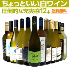 白ワイン セット ワインセット 白 ワイン ギフト 箱 京橋ワイン 京橋わいん 特選 12本 750ml お歳暮 飲み比べ 詰め合わせ プレゼント 送料無料 【 第101弾 当店オススメばかりを厳選 したちょっといい白ワイン 】