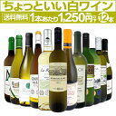 白ワイン セット ワインセット 白 ワイン ギフト 箱 京橋ワイン 京橋わいん 特選 12本 750ml お歳暮 飲み比べ 詰め合わせ プレゼント 送料無料 【 第106弾 当店オススメばかりを厳選 したちょっといい白ワイン 】
