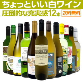 白ワイン セット ワインセット 白 ワイン ギフト 箱 京橋ワイン 京橋わいん 特選 12本 750ml お歳暮 飲み比べ 詰め合わせ プレゼント 送料無料 【 第110弾 当店オススメばかりを厳選 したちょっといい白ワイン 】