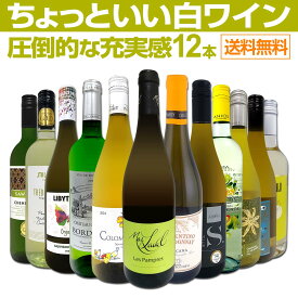 白ワイン セット ワインセット 白 ワイン ギフト 箱 京橋ワイン 京橋わいん 特選 12本 750ml お歳暮 飲み比べ 詰め合わせ プレゼント 送料無料 第111弾 当店オススメばかりを厳選 したちょっといい白ワイン 白ワイン好き 辛口 人気