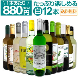 【送料無料】第104弾!1本あたり880円(税込)!!採算度外視の大感謝!厳選白ワイン12本セット 12本で10,560円 ウルトラバリュー たっぷりワイン 家飲みセット まとめ買い コスパ抜群