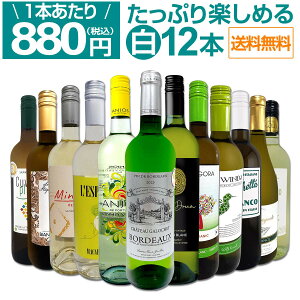 ワイン ワイン12本セット」の人気商品一覧 | 安い商品を通販サイトから 