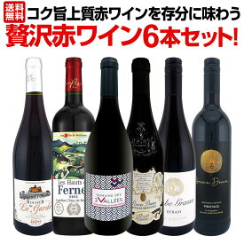 【送料無料】第52弾！当店≪極≫厳選！赤ワイン好きならこのセット！格別の美味しさ！コク旨上質赤ワインを存分に味わう贅沢赤ワイン6本セット！