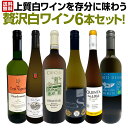白ワイン セット ワインセット 白 ワイン ギフト 箱 京橋ワイン 京橋わいん 特選 6本 お歳暮 上質 飲み比べ 贅沢 送料無料 【 第62弾 当店≪極≫ 厳選 白ワイン好きならこのセット 】