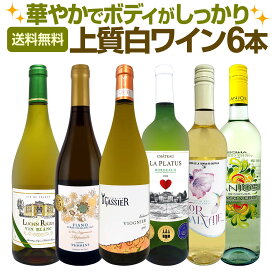 白ワイン セット ワインセット 白 ワイン ギフト 箱 京橋ワイン 京橋わいん 特選 6本 お歳暮 上質 飲み比べ 贅沢 送料無料 【 第66弾 当店≪極≫ 厳選 白ワイン好きならこのセット 】