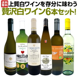 【送料無料】第67弾！当店≪極≫厳選！白ワイン好きならこのセット！格別の美味しさ！華やかな上質白ワインを存分に味わう贅沢白ワイン6本セット！