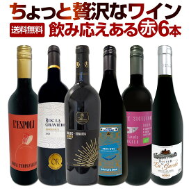 赤ワイン フルボディ セット ワインセット 赤 ワイン ギフト 箱 京橋ワイン 京橋わいん 6本 飲み比べ 特選 送料無料 【 第177弾 当店厳選 これぞ極旨赤ワイン 『大満足！充実の飲み応え！』 贅沢なスーパー・セレクト 】