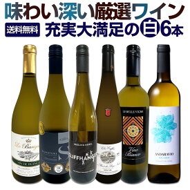 白ワイン 辛口 セット ワインセット 白 ワイン ギフト 箱 京橋ワイン 京橋わいん 特選 6本 お歳暮飲み比べ シャルドネ 金賞 送料無料 【 第226弾 当店厳選 これぞ極旨 辛口白ワイン 】