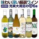 白ワイン 辛口 セット ワインセット 白 ワイン ギフト 箱 京橋ワイン 京橋わいん 特選 6本 お歳暮飲み比べ シャルドネ 金賞 送料無料 【 第230弾 当店厳選 これぞ極旨 辛口白ワイン 】