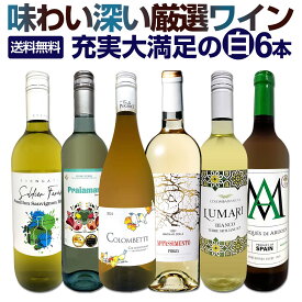 白ワイン 辛口 セット ワインセット 白 ワイン ギフト 箱 京橋ワイン 京橋わいん 特選 6本 お歳暮飲み比べ シャルドネ 金賞 送料無料 第230弾 当店厳選 これぞ極旨 辛口白ワイン