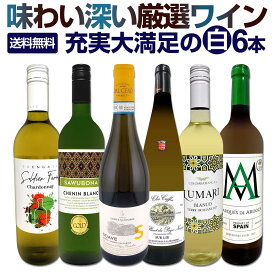 白ワイン 辛口 セット ワインセット 白 ワイン ギフト 箱 京橋ワイン 京橋わいん 特選 6本 お歳暮飲み比べ シャルドネ 金賞 送料無料 【 第231弾 当店厳選 これぞ極旨 辛口白ワイン 】