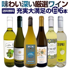 白ワイン 辛口 セット ワインセット 白 ワイン ギフト 箱 京橋ワイン 京橋わいん 特選 6本 お歳暮飲み比べ シャルドネ 金賞 送料無料 【 第232弾 当店厳選 これぞ極旨 辛口白ワイン 】