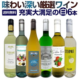 白ワイン 辛口 セット ワインセット 白 ワイン ギフト 箱 京橋ワイン 京橋わいん 特選 6本 お歳暮飲み比べ シャルドネ 金賞 送料無料 第234弾 当店厳選 これぞ極旨 辛口白ワイン 充実大満足 普段飲み お食事のお供 飲みくらべ