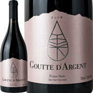 ぎんの雫・グット・ダルジャン・ピノ・ノワール 2024 チリ レイダ・ヴァレー 赤ワイン 750ml 13.5% ミデ…