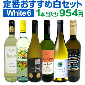 【送料無料】第228弾！美味しい辛口白ワインだけを当店が厳選!!特大感謝の大満足白ワイン6本セット!!