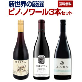 【送料無料】新世界の厳選ピノ・ノワール3本セット 新世界ワイン ピノノワール Pinot Noir ワインセット 3本入り 3本組 厳選ワイン 厳選セット 限定セット 限定60セット 数量限定 お買い得 お買い得セット ピノ・ノワールワイン
