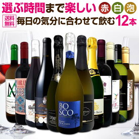 ワインセット 赤白泡 ミックスワイン セット ワイン ギフト 箱 京橋ワイン 京橋わいん 12本 辛口 飲み比べ ミックスワイン 詰め合わせ 送料無料 第92弾 限界ギリギリまで良いワインを詰め込んだベストミックス 赤白泡 大満足 パーティー 飲み比べセット 12本セット