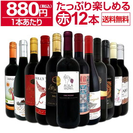 赤ワイン フルボディ セット ミディアムボディ ワインセット 赤 ワイン ギフト 箱 京橋ワイン 京橋わいん 12本 750ml 飲み比べ プレゼント 送料無料 第97弾 1本あたり880円(税込) 採算度外視の大感謝 厳選赤ワイン12本セット たっぷりワインを楽しめる 大満足 飲み比べセット