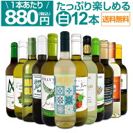 白ワイン セット ワインセット 白 ワイン ギフト 箱 京橋ワイン 京橋わいん 特選 12本 お歳暮 飲み比べ …