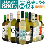 白ワイン セット ワインセット 白 ワイン ギフト 箱 京橋ワイン 京橋わいん 特選 12本 お歳暮 飲み比べ …