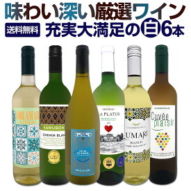白ワイン 辛口 セット ワインセット 白 ワイン ギフト 箱 京橋ワイン 京橋わいん 特選 6本 お歳暮飲み比べ シャルドネ 金賞 送料無料 第238弾 当店厳選 これぞ極旨 辛口白ワイン 充実大満足 普段飲み お食事のお供 飲みくらべ