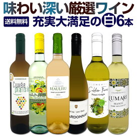 白ワイン 辛口 セット ワインセット 白 ワイン ギフト 箱 京橋ワイン 京橋わいん 特選 6本 お歳暮飲み比べ シャルドネ 金賞 送料無料 第240弾 当店厳選 これぞ極旨 辛口白ワイン 充実大満足 普段飲み お食事のお供 飲みくらべ