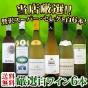 【送料無料】第93弾!当店厳選!これぞ極旨辛口白ワイン!『白ワインを存分に楽しむ!』味わい深いスーパー・セレクト白6本セット!