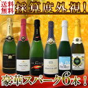 【送料無料】第91弾!ベスト・オブ・スパーク!京橋ワイン厳選!高級クレマンも入った極旨泡ばかりの辛口スパークリングワイン6本セット!|カバ スパークリング ワイ...
