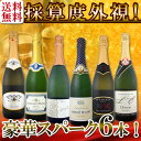 【送料無料】第106弾!ベスト・オブ・スパーク!当店厳選!高級クレマンも入った極旨泡ばかりの辛口スパークリングワイン6本セット!