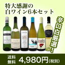 【送料無料】第105弾!採算度外視の謝恩企画!当店厳選!特大感謝の大満足白ワイン6本セット
