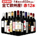 ワイン 【送料無料】第107弾!超特大感謝!≪スタッフ厳選≫の激得赤ワインセット 12本!