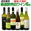 ワイン 【送料無料】第114弾!当店厳選!これぞ極旨辛口白ワイン!『白ワインを存分に楽しむ!』味わい深いスーパー・セレクト白6本セット