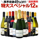 【送料無料】本格シャンパン＆ブルゴーニュ入り！特大スペシャル12本セット！ワイン ワインセット セット 赤ワインセット 赤ワイン 赤 白ワインセット 白ワイン ...