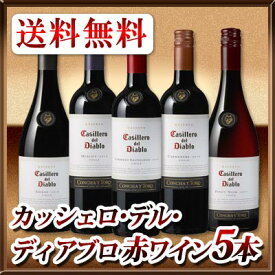 【送料無料】カッシェロ・デル・ディアブロ　赤ワイン5本セット！
