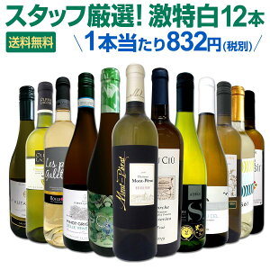 白ワインセット 【送料無料】第129弾!超特大感謝!≪スタッフ厳選≫の激得白ワイン 750ml 12本セット!ワインセット 辛口 白ワインセット シャルドネ 金賞ワイン 飲み比べ 詰め合わせ ギフト プレゼント 贈り物