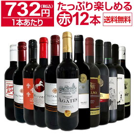 【送料無料】第23弾！1本あたり732円(税込)!!採算度外視の大感謝!厳選赤ワイン12本セットワイン ワインセット セット 赤ワインセット 赤ワイン 赤 飲み比べ ギフト プレゼント 750ml